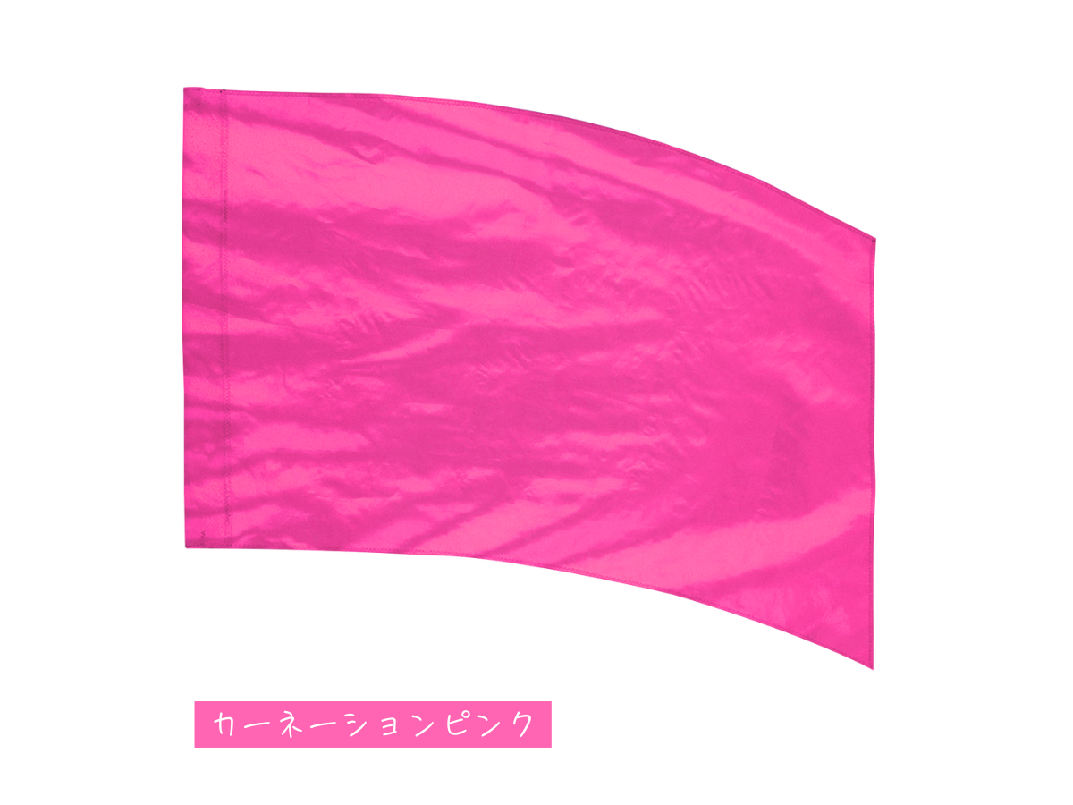 練習用フラッグ