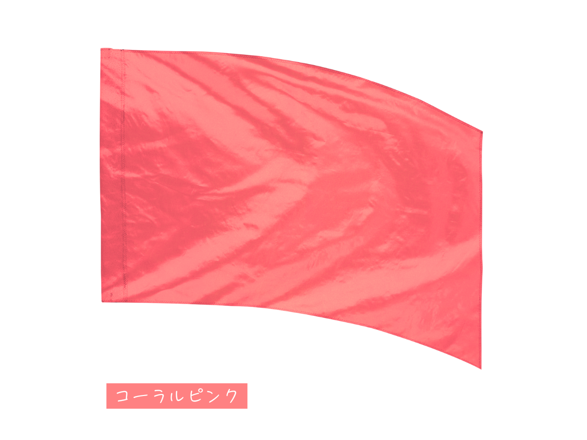 練習用フラッグ