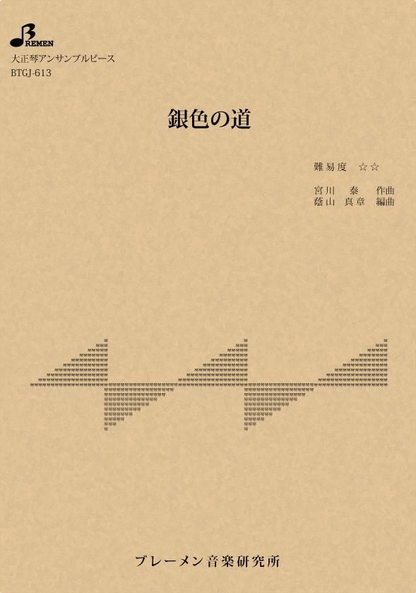 BTGJ-613/銀色の道