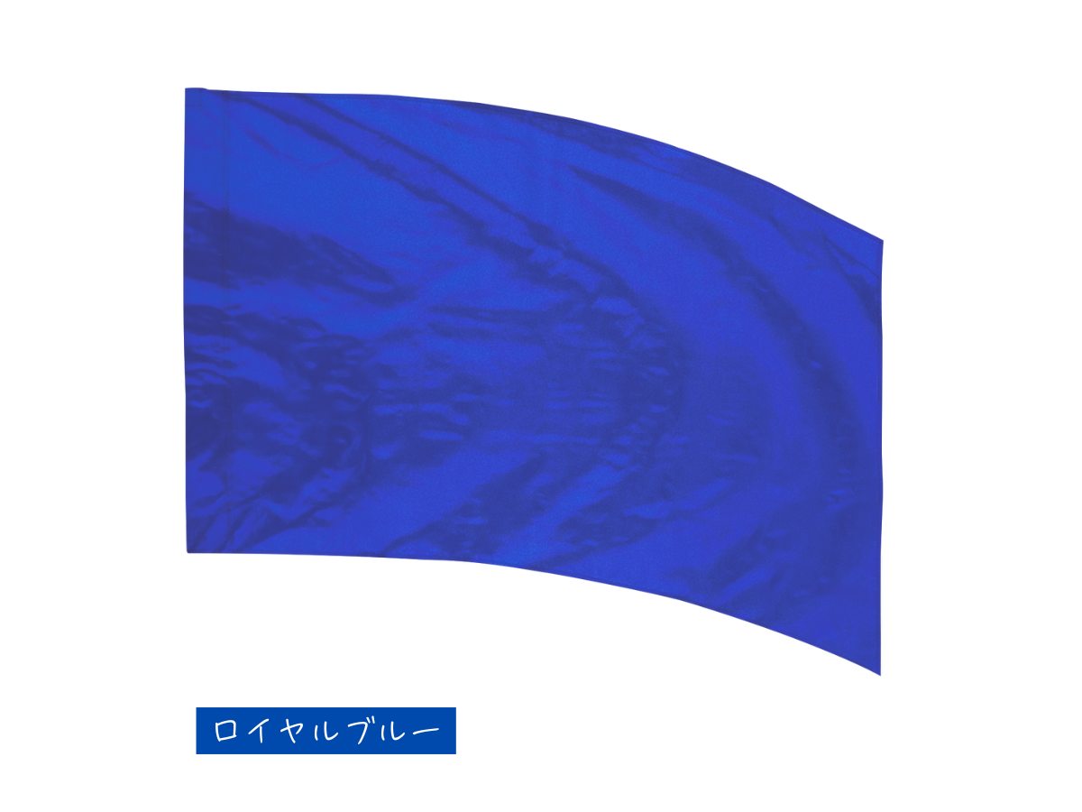 練習用フラッグ