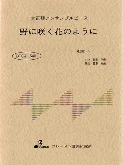 BTGJ-540/野に咲く花のように
