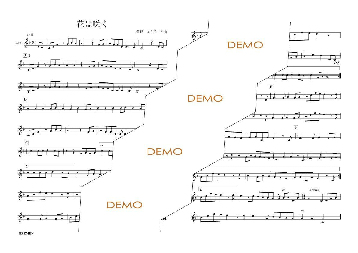 BOK-021/花は咲く