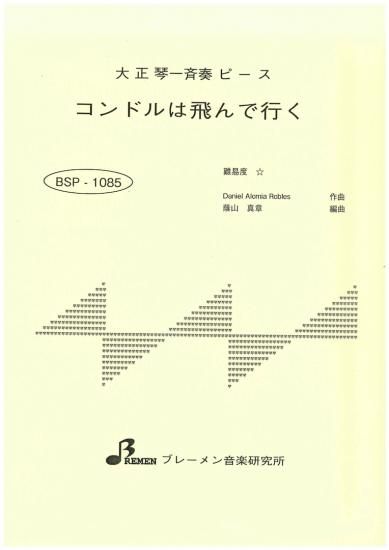 BSP-1085/コンドルは飛んで行く