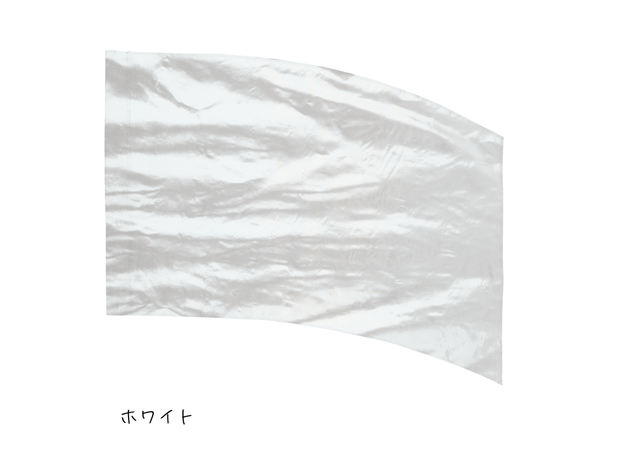 練習用フラッグ