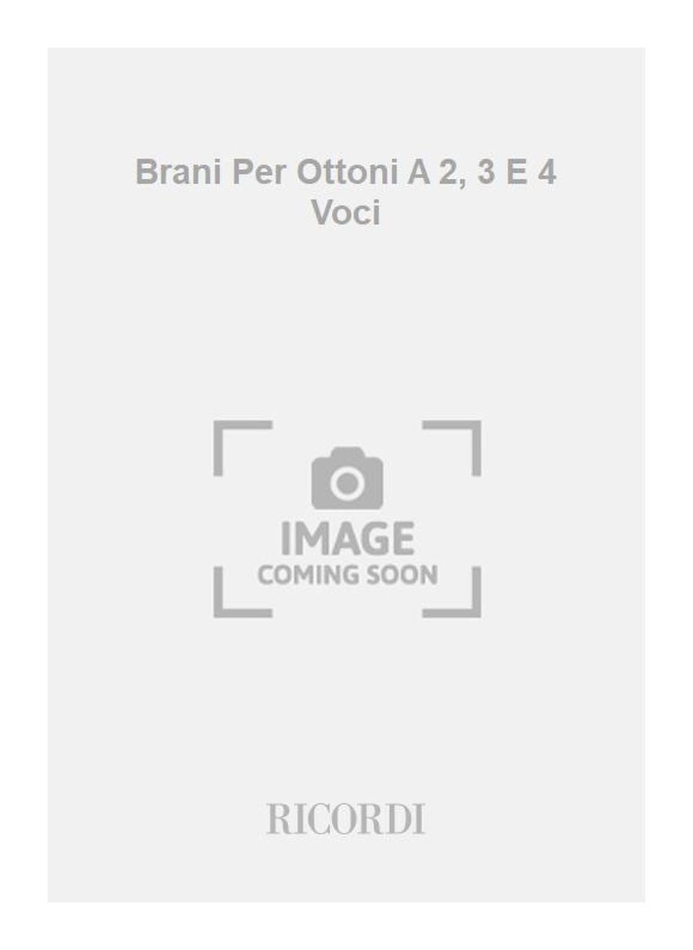 Brani Per Ottoni A 2, 3 E 4 Voci