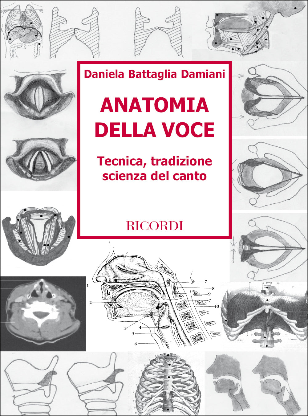 Anatomia Della Voce
