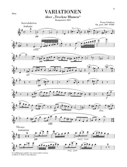 シューベルト：「しぼめる花」による変奏曲 ホ短調 D 802 op. posth. 160