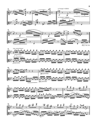 アンサンブル二重奏／ハルヴォルセン：パッサカリア／サラバンドと変奏（ヘンデルの主題による）