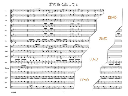 君の瞳に恋してる