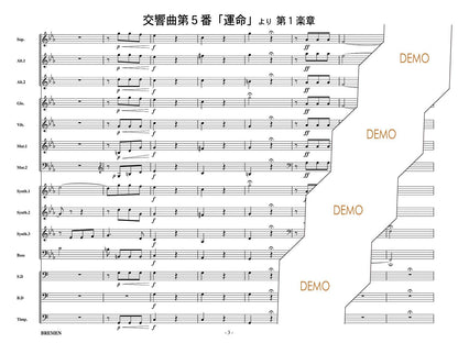 交響曲 第5番「運命」より 第1楽章