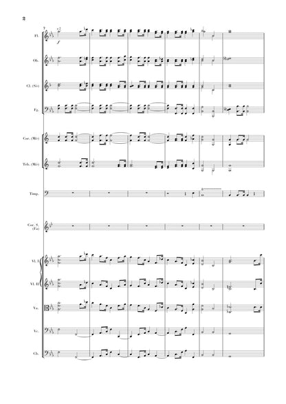 シュトラウス：ホルン協奏曲 第1番 変ホ長調 op. 11