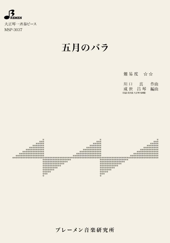五月のバラ