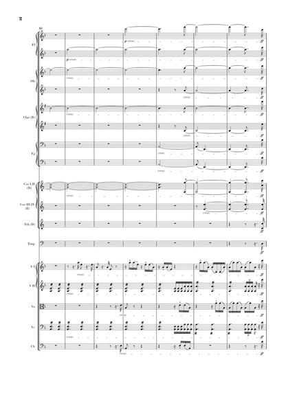 ベートーヴェン：交響曲 第9番 ニ短調 op. 125