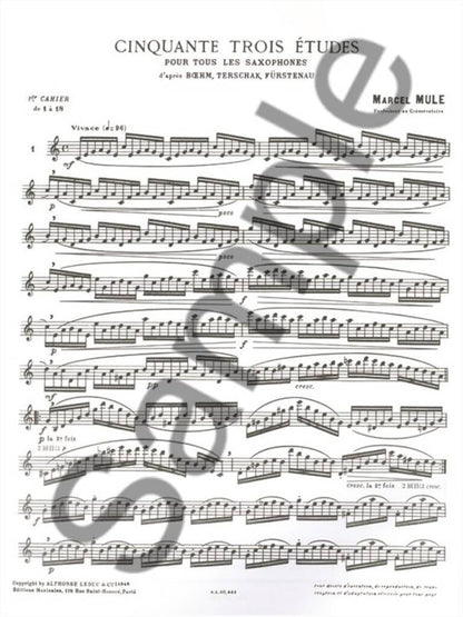 サクソフォン／ミュール：ベーム、テルシャック、フュルステナウの 53の練習曲 第1巻